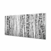 tulup.si Stenska plošča za kuhinjo Črno-bele breze 120x60 cm