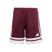 ADIDAS PERFORMANCE Športne hlače Squadra 25 rdeča/bela