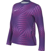 Nike Dres z dolgimi rokavi Dri-FIT Gardien VI Goalkeeper Long Sleeve Women