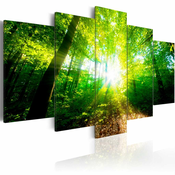Slika - Wonderful Morning 100x50