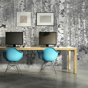Foto tapeta - Birch seclusion 450x270
