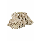 Koral 18cm