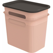 Svijetlo ružicaste plasticne kutije za pohranu u setu 2 kom s poklopcem 18,5x27x26 cm Brisen – Rotho
