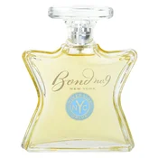 Bond No. 9 Riverside Drive parfumska voda za moške 100 ml