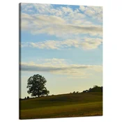 shumee Platno Narava Drevo na polju 50x70 cm Nebo Travnik Oblaki