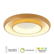 LED plafonska lampa F2081-138C WD