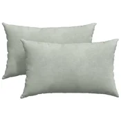 Vidaxl Blazine za kavč 2 szt. Svetlo siva 50 x 30 cm Žametna tkanina