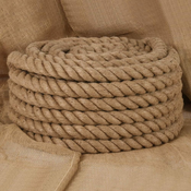 Greatstore Vrv iz jute 5 m dolžina 50 mm debelina