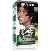 Garnier Belle Color Naturals Permanent Hair Dye Color Dark Ash Brown (3.10)
