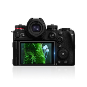 INF Zaščitna folija za zaslon Panasonic S5 II AR, kaljeno steklo, 2 kosa, (5000076184)