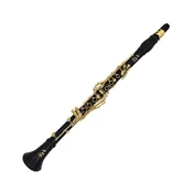 Klarinet Bb 18/7 zlat 310RR-9K ITALIA Ripa – Ripamonti