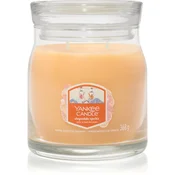 Yankee Candle Signature Medium Jar 2 Wicks Slopeside Spritz Universal