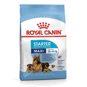 Royal Canin Maxi Starter 4 kg