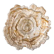 Bež steklena skleda o 38,5 cm Asimi – Bloomingville