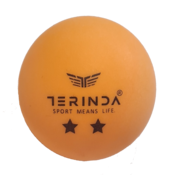 TERINDA žogice za namizni tenis 1708-25 oranžna