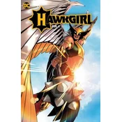 HAWKGIRL V01
