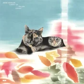 Eddie Marcon & Eddie Marcon - Carpet Of Fallen Leaves (Limited Edition) (2 LP)