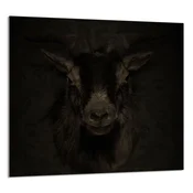 shumee STEKLENA PLOŠČA ZA KUHINJO 65x60 Koza