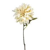 Dalija 55 cm krem - 50 do 75 cm