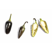 Jalapeno Purple – Sjemenke chili papricica