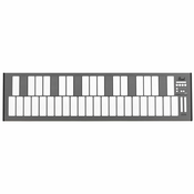 Elektronski tolkalski kontroler EM1 Pearl