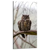 shumee Platno Živali Sova na veji 60x120