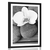 Plakat s paspartujem wellness kamni in orhideja na lesenem ozadju v črnobeli varianti - 20x30 black