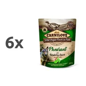 Carnilove Dog Adult - fazan & listi maline, vrečka 300g 6 x 300 g