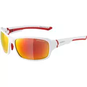 Alpina LYRON, sončna očala, bela 0-8630