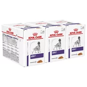 Royal Canin VHN DOG ADULT pouch 36 x 100 g