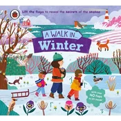 Walk in Winter