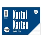 Kartoteke A5 - podložene, 100 kosov