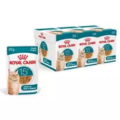 Royal Canin AGEING 15+ Gravy koščki v omaki za mačke, starejše od 15 let - 36 x 85 g
