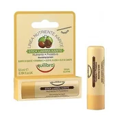 Equilibra Shea Butter Lip Balm