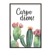 shumee PLAKAT ZA SLIKE V OKVIRJU 43x33 cm Kaktus P720