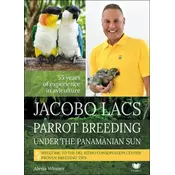 Jacobo Lacs Parrot breeding under the Panamanian sun