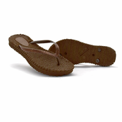 NW JAPONKE, (WLF22_142_1BROWN-37)