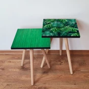 Hanah Home Set klub stocica 2Shp517, 2 komada, Zeleni