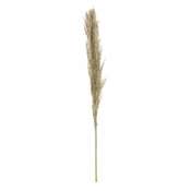Chaks Pampas trava - Naravna 115 cm