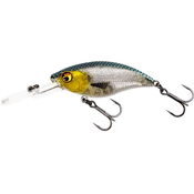 Westin BUZZBITE CRANKBAIT Suspending 6cm/10g 3D Headlight