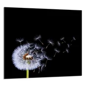 shumee STEKLENA PLOŠČA ZA KUHINJO 65x60 Cvet