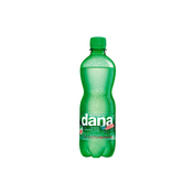 DANA NARAVNA MINERALNA VODA - GAZIRANA 0,5L