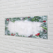 tulup.si Slika na akrilnem steklu Snežne stožci, vejice 140x70 cm 4 obešalnika