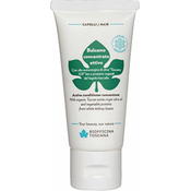 Biofficina toscana Active Concentrated Conditioner 40 ml