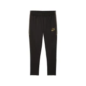 Mens Puma KINGtouch Football Pants, Black, Size XXL, Sport