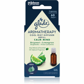 Eterično olje za difuzor aroma Aromatherapy Cool Mist Calm Mind 17,4 ml