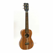 APC BY SCHNEIDER ELECTRIC APC CT CONCERTO UKULELE
