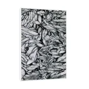 Canvas Slika na platnu Pinolit Austrija, Sa ramom, 40 x 60 cm, Beli