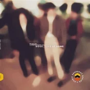 The Dogs - Live At Home (Limited Edition) (White Coloured) (LP)