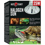 REPTI PLANET žarnica Halogen Sun, 25 W